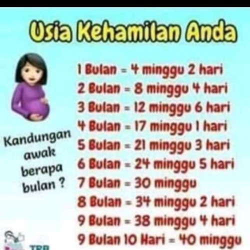 Aku Bingung Bun 13 Minggu Berapa Bulan Ya