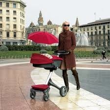 Expensive Stroller