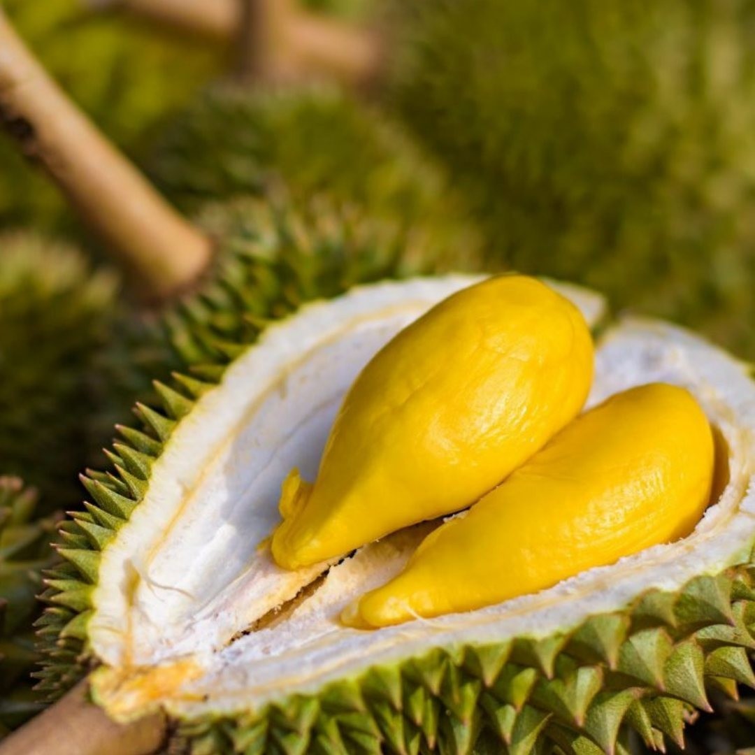 Durian