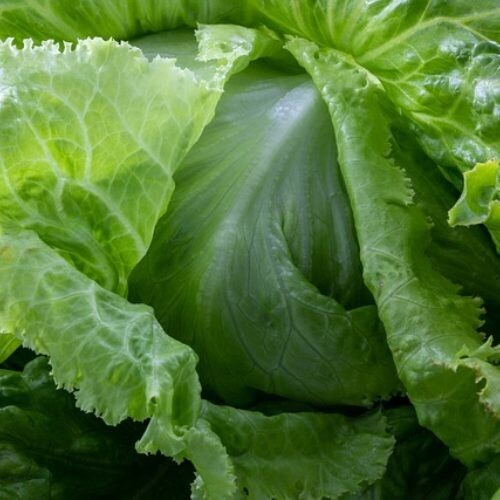 Leafy vegetables